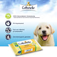 Feuchtes Toilettenpapier Natürlich Pflegend Cottonelle