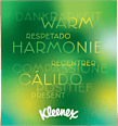 Taschentücher Box Kleenex