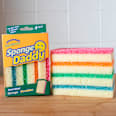 2u1 ribalica i spužvica Scrub Daddy