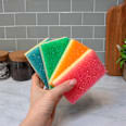 2u1 ribalica i spužvica Scrub Daddy