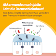 PROBIO-CULT AKK1 Tabletten PROBIO-CULT
