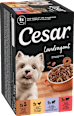 Nassfutter Hund Landküche Vielfalt in Sauce, Multipack (8x150 g) Cesar
