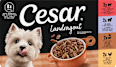 Nassfutter Hund Landküche Vielfalt in Sauce, Multipack (8x150 g) Cesar