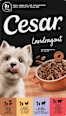 Nassfutter Hund Landküche Vielfalt in Sauce, Multipack (8x150 g) Cesar