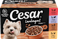 Nassfutter Hund Landküche Vielfalt in Sauce, Multipack (8x150 g) Cesar