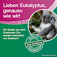 Soledum addicur 200 mg Cineol magensaftresistente Weichkapseln Soledum