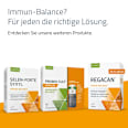 Syxyl Regacan Immun-Balance Tabletten SYXYL