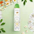 Antitranspirant Deospray Bridgerton Love & Meadows Dove