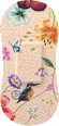 Pflaster Classic Sensitive Flower Wild Stripes