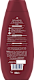 Shampoo Color Glanz schauma