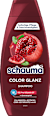 Shampoo Color Glanz schauma