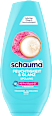 Conditioner Feuchtigkeit & Glanz schauma