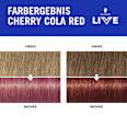 Glossing Go Gloss, Cherry Cola Red Schwarzkopf LIVE