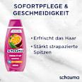 Shampoo Fresh it up schauma