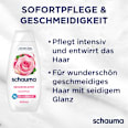 Shampoo Seidenkamm schauma