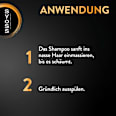 Shampoo Intense Curls syoss