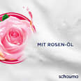 Shampoo Seidenkamm schauma