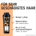 Shampoo Ultimate Repair Schwarzkopf GLISS