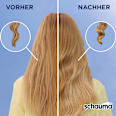 Shampoo Feuchtigkeit & Glanz schauma