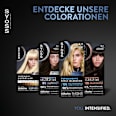 Haarfarbe 8_11 Naturblond Syoss