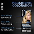 Haarfarbe 8_11 Naturblond Syoss