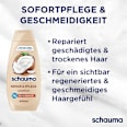 Shampoo Repair & Pflege schauma