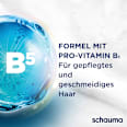 Shampoo Repair & Pflege schauma
