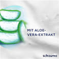 Shampoo Anti-Schuppen Classic schauma