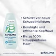 Shampoo Anti-Schuppen Classic schauma