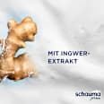 Shampoo Anti-Schuppen XTRA schauma