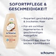 Conditioner Repair & Pflege schauma
