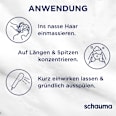 Conditioner Repair & Pflege schauma