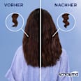 Shampoo Color Glanz schauma