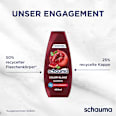 Shampoo Color Glanz schauma