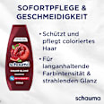 Shampoo Color Glanz schauma