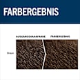 Tönung Bart 60 Natur Braun, 1 St Schwarzkopf Men Perfect
