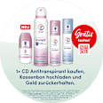 Antitranspirant Deospray pure & protect fresh blossom CD