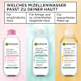 Mizellenwasser Waterproof All in 1 Garnier Skin Active