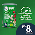 Chrupki ryżowo-pszenne banan malina Gerber Organic