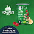 Chrupki ryżowo-pszenne banan malina Gerber Organic