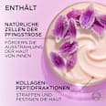 Nachtcreme Age Perfect Golden Age L'ORÉAL PARiS