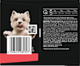 Nassfutter Hund Klassiker Selektion Multipack (8x150 g) Cesar