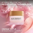 Gesichtscreme Age Perfect Golden Age L'ORÉAL PARiS