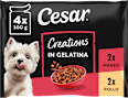 Selezione in gelatina cibo umido per cani adulti Cesar