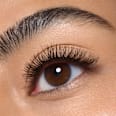 Künstliche Wimpern Faked Cluster Lashes Brown CATRICE