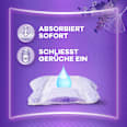 discreet Einlagen Inkontinenz Maxi Tag always