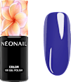 UV Nagellack Bold Horizon NÉONAIL