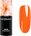 UV Nagellack Inner Flame NÉONAIL