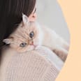 Katzenleckerli Nutri Vitamin Bites GimCat