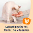 Katzenleckerli Nutri Vitamin Bites GimCat